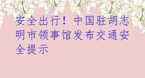 安全出行!中国驻胡志明市领事馆发布交通安全提示