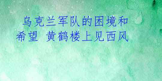  乌克兰军队的困境和希望 黄鹤楼上见西风 