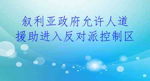 叙利亚政府允许人道援助进入反对派控制区
