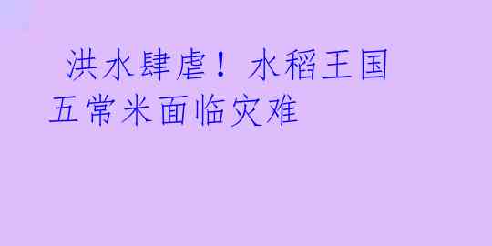 洪水肆虐!水稻王国五常米面临灾难