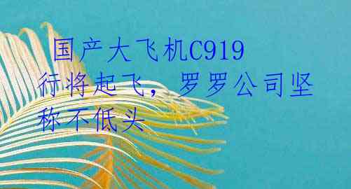  国产大飞机C919行将起飞，罗罗公司坚称不低头 