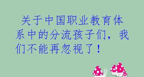  关于中国职业教育体系中的分流孩子们，我们不能再忽视了！ 