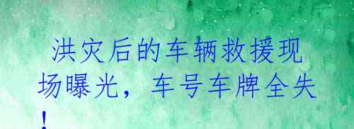  洪灾后的车辆救援现场曝光，车号车牌全失！ 