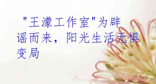 "王濛工作室"为辟谣而来,阳光生活无惧变局