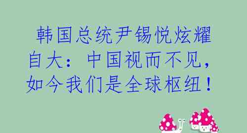 韩国总统尹锡悦炫耀自大:中国视而不见,如今我们是全球枢纽!
