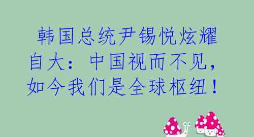  韩国总统尹锡悦炫耀自大：中国视而不见，如今我们是全球枢纽！ 