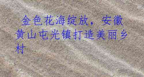 金色花海绽放,安徽黄山屯光镇打造美丽乡村