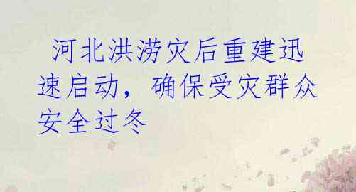 河北洪涝灾后重建迅速启动,确保受灾群众安全过冬
