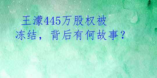  王濛445万股权被冻结，背后有何故事？ 