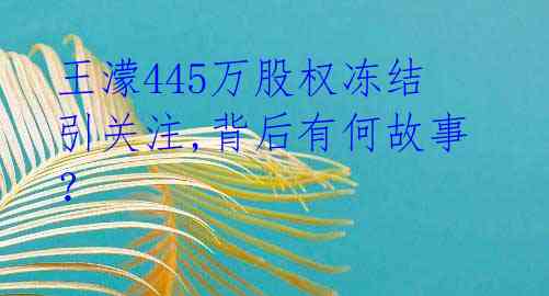 王濛445万股权冻结引关注,背后有何故事？ 