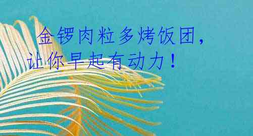 金锣肉粒多烤饭团,让你早起有动力!
