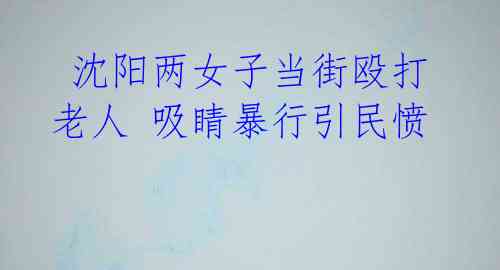 沈阳两女子当街殴打老人 吸睛暴行引民愤