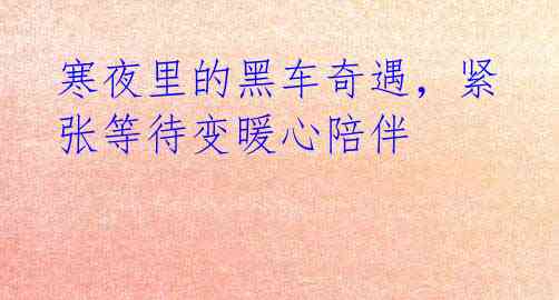 寒夜里的黑车奇遇,紧张等待变暖心陪伴