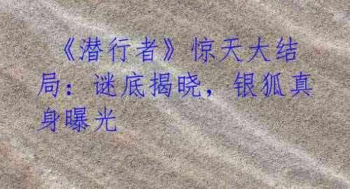 《潜行者》惊天大结局:谜底揭晓,银狐真身曝光
