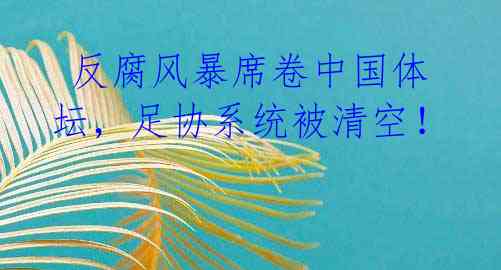 反腐风暴席卷中国体坛,足协系统被清空!