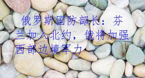  俄罗斯国防部长：芬兰加入北约，俄将加强西部边境军力