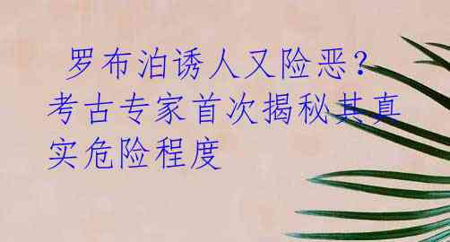  罗布泊诱人又险恶？考古专家首次揭秘其真实危险程度 