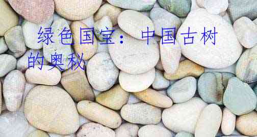  绿色国宝：中国古树的奥秘