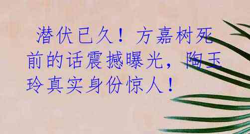 潜伏已久!方嘉树死前的话震撼曝光,陶玉玲真实身份惊人!