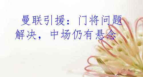 曼联引援:门将问题解决,中场仍有悬念