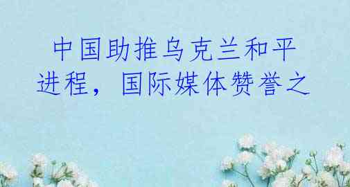 中国助推乌克兰和平进程,国际媒体赞誉之