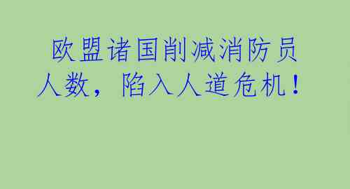  欧盟诸国削减消防员人数，陷入人道危机！ 