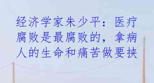 经济学家朱少平：医疗腐败是最腐败的，拿病人的生命和痛苦做要挟 