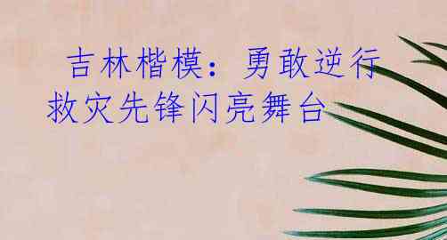 吉林楷模:勇敢逆行 救灾先锋闪亮舞台