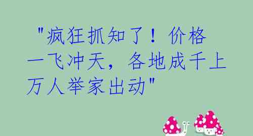  "疯狂抓知了！价格一飞冲天，各地成千上万人举家出动" 