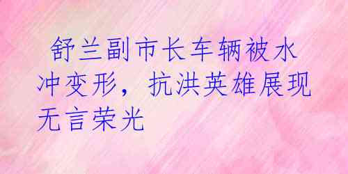 舒兰副市长车辆被水冲变形,抗洪英雄展现无言荣光