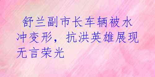  舒兰副市长车辆被水冲变形，抗洪英雄展现无言荣光 