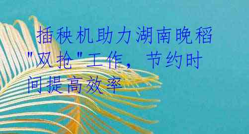 插秧机助力湖南晚稻"双抢"工作,节约时间提高效率