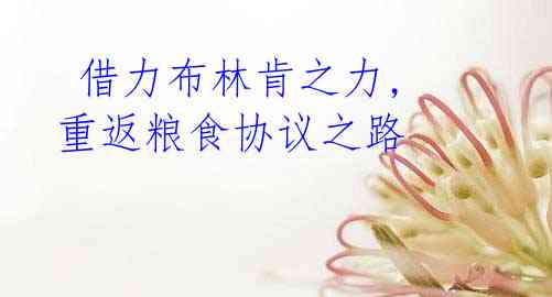 借力布林肯之力, 重返粮食协议之路
