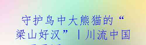 守护鸟中大熊猫的“梁山好汉”|川流中国·开天河