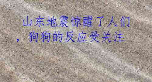 山东地震惊醒了人们,狗狗的反应受关注