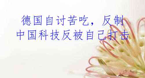 德国自讨苦吃,反制中国科技反被自己打击