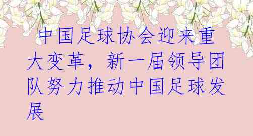 中国足球协会迎来重大变革,新一届领导团队努力推动中国足球发展