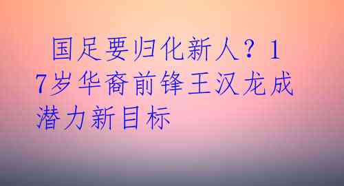  国足要归化新人？17岁华裔前锋王汉龙成潜力新目标 