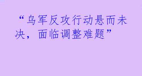 “乌军反攻行动悬而未决，面临调整难题”