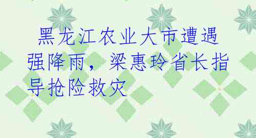  黑龙江农业大市遭遇强降雨，梁惠玲省长指导抢险救灾