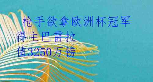 枪手欲拿欧洲杯冠军得主巴雷拉 值3250万镑