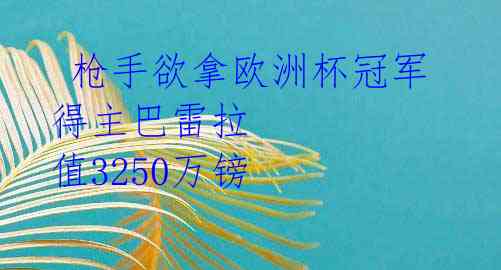  枪手欲拿欧洲杯冠军得主巴雷拉 值3250万镑 