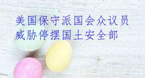 美国保守派国会众议员威胁停摆国土安全部