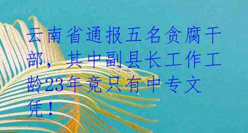 云南省通报五名贪腐干部,其中副县长工作工龄23年竟只有中专文凭!