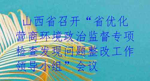 山西省召开“省优化营商环境政治监督专项检查发现问题整改工作领导小组”会议
