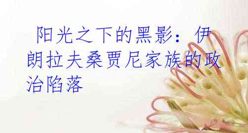阳光之下的黑影:伊朗拉夫桑贾尼家族的政治陷落