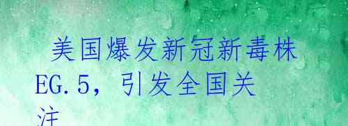 美国爆发新冠新毒株 EG.5,引发全国关注
