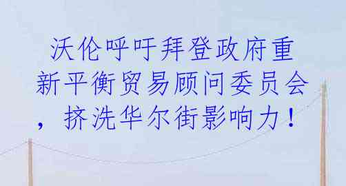  沃伦呼吁拜登政府重新平衡贸易顾问委员会，挤洗华尔街影响力！ 