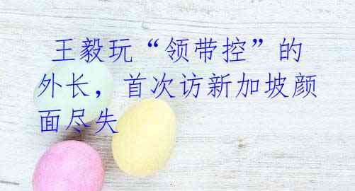 王毅玩“领带控”的外长,首次访新加坡颜面尽失