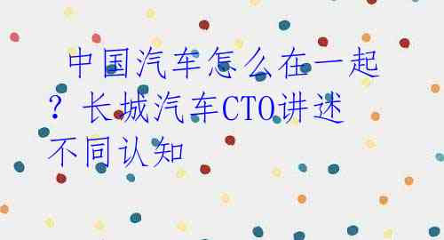 中国汽车怎么在一起?长城汽车CTO讲述不同认知